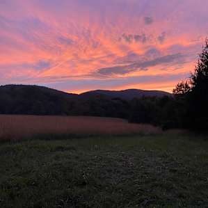 Natural Roots Farm Camping Retreat