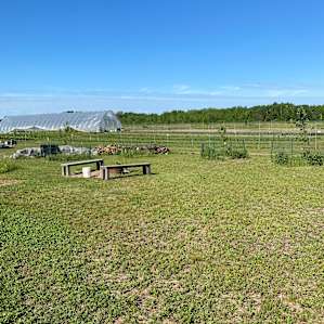 Campsite on The Farm