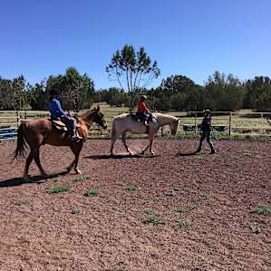 Horseback riding lessons