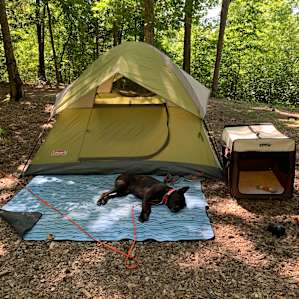 Shady, level tent sites!