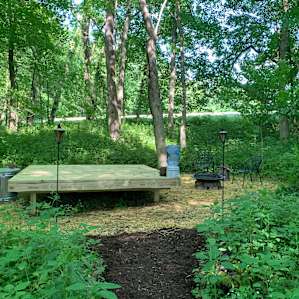 Permaculture Paradise