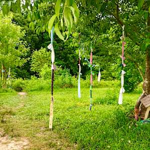 Off grid hippie farm experience