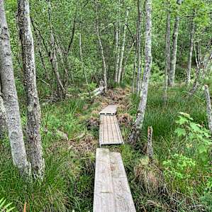 Parcours to main house