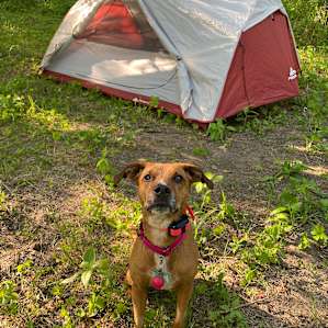 Big Indian Creek campsite