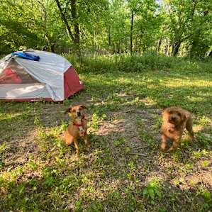Big Indian Creek campsite