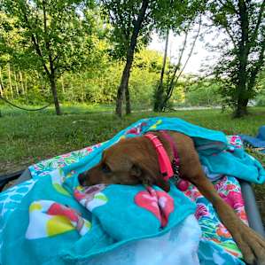 Big Indian Creek campsite