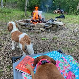 Big Indian Creek campsite