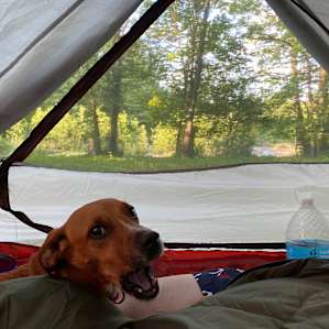 Big Indian Creek campsite