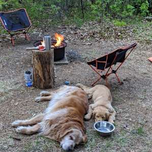 Pups by the fire. This pit was located in a more open area, there is another pit under tree cover a bit further back. We essentially had to sites to ourselves.