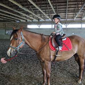 Horse and Animal Petting Farm
