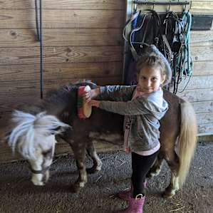 Horse and Animal Petting Farm