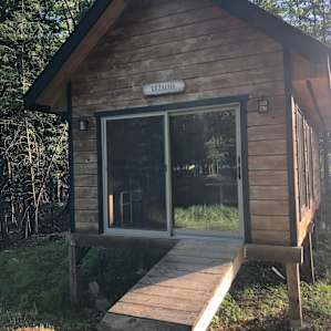 Firefly Woods