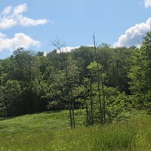 Watching the wind rolling over the meadow was a great site.