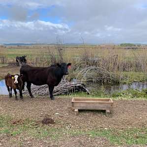 The Ranch at Camp Boston
