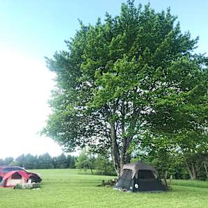 Red House Ranch Camp
