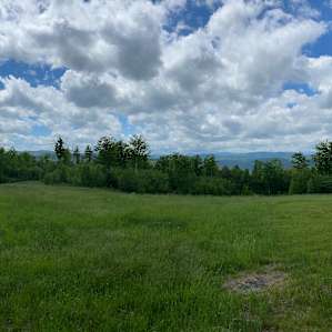 Sugar Wood Meadows Camping