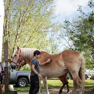 Lil Beth is a gentle giant
