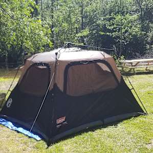 Camp Treefeathers