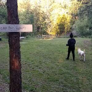 Camp Treefeathers
