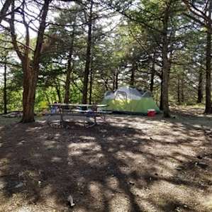 Tent Camping under the Trees