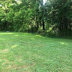 Three campsites located along the shaded wood line