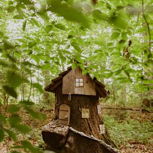 Western NC Treehouse