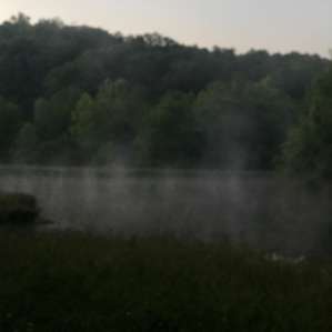 The pond at sunrise