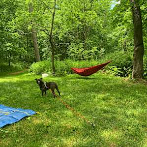 Creek side get-away