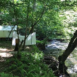 Creek Side Escape