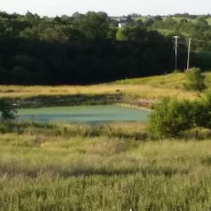 Deer in the yard over! You can barely see it because the zoom on my camera is terrible, but it's the little dot just above the corner of the pond in the lighter grass. (The pond doesn't belong to the ranch so we did not go there).