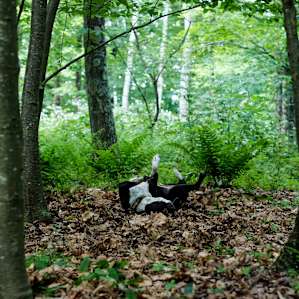 Bryce loving the woods right off of site 1