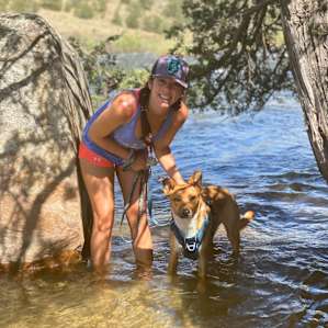 Brown canyon