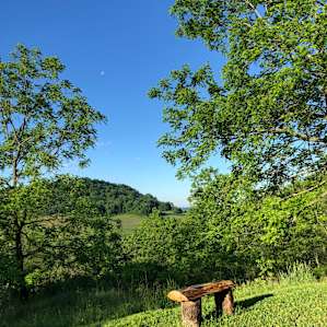 Rustic Cabin at Healing Hills
