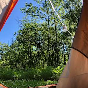 Photo of HipCamp Homestead - Peace and Serenity On The River (40)