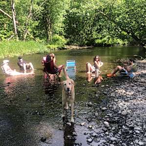 Photo of HipCamp Homestead - Peace and Serenity On The River (42)