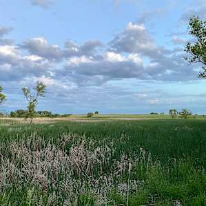 View on a walk