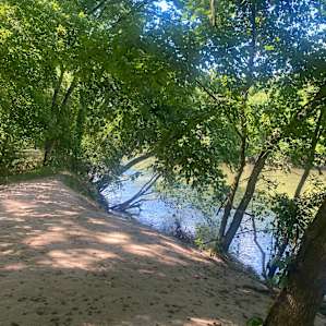 View of the river from Riverside #2.
