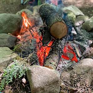 Camp Escape: The Clearing