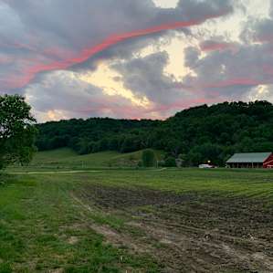 100 Acre Organic Farm