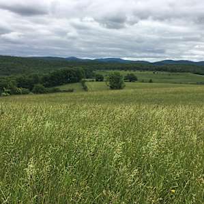 Slateville Secluded Campsites