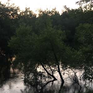 Picturesque Riverfront camping