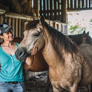 Such sweet ponies!