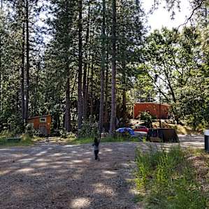 Artist Community in The Forest