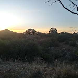 Saddle Mountain Tent