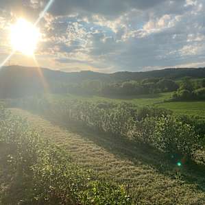 A view over the fields next to the campsite space