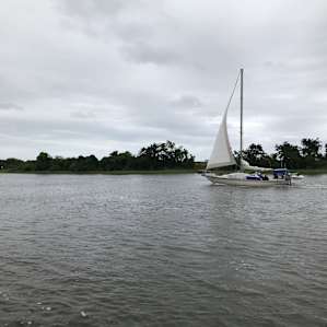 Intracoastal Waterway Farm