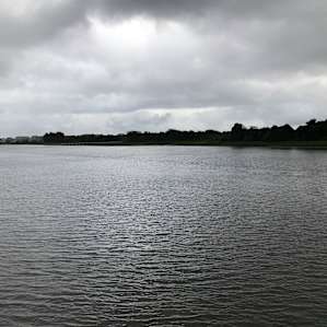 Intracoastal Waterway Farm