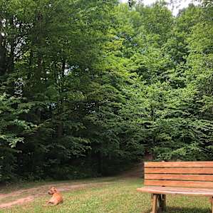 Secluded Sites along Sterling Creek