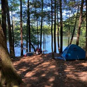 Camp Escape: The Woods