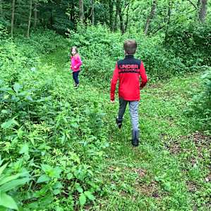 Mowed trails to hike